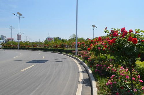 规模发展， 基础先行