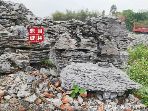 先说说我那傻呼呼的考察过程