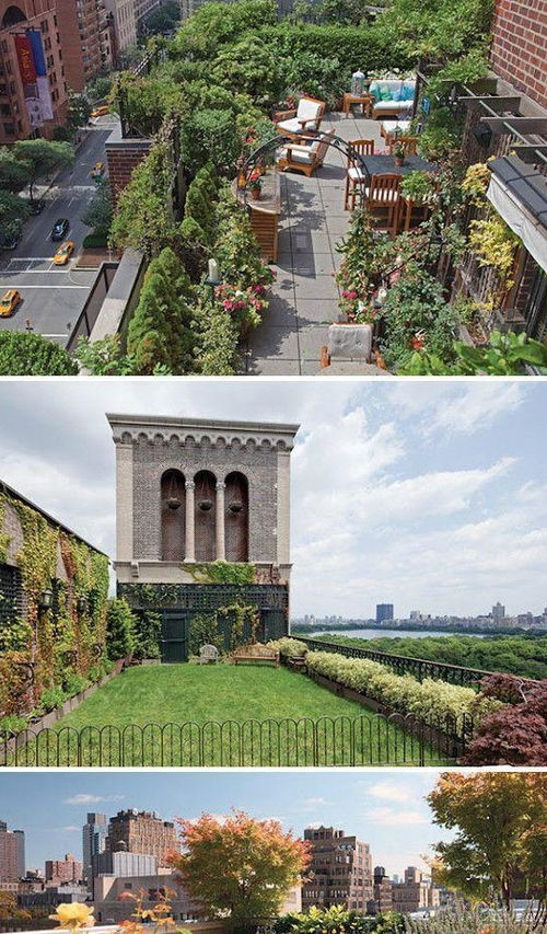 六到九月我家花园开什么花？这份清单嫩让我家花园全年花开不败吗？