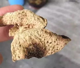 葡萄干保存方法，防止霉变和虫蛀
