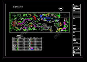 初步总平面图：整体布局的规划师