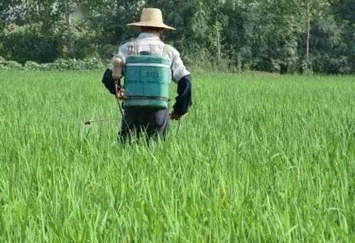 选择时机， 效果才好