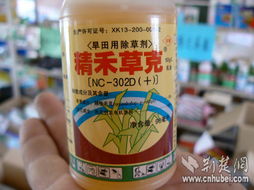 事故发生， 责任难分