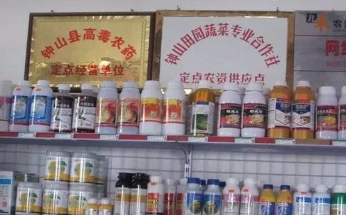 惠农网推荐，kankan哪些受欢迎