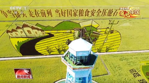 穷则创新，变则兴农