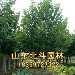 报价表里的秘密