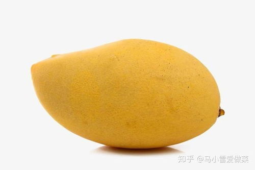 芒果在什么季节成熟？如何判断芒果是否成熟