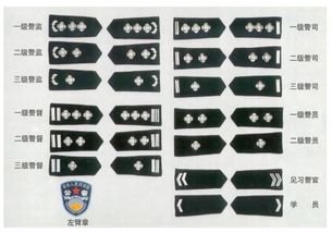 军衔与职务的关系