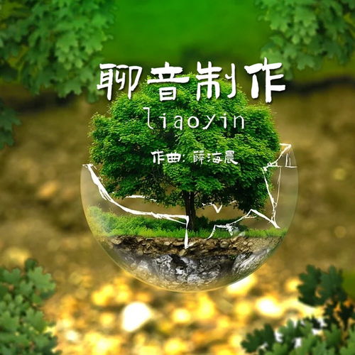 四季玫瑰在阳光充足的环境下生长，如何细心呵护才能让它们绽放出最美丽的花朵呢