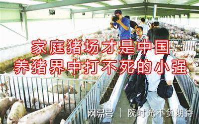 规模化养猪场如何实现低成本、高效益、绿色环保的转型