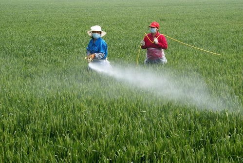 注意事项， 正确用药