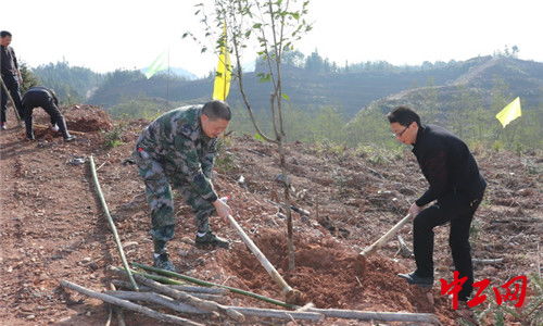 种植方法大揭秘：各种繁殖方式详述