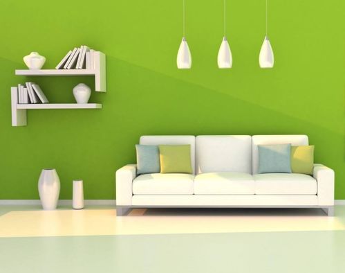 植物除甲醛， 效果有限但心意满满