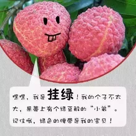 荔枝干高效加工技术揭秘，提升花卉保鲜品质