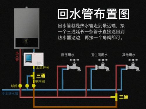海缸开缸教程中，放多少生物最合适？有没有具体比例或建议？