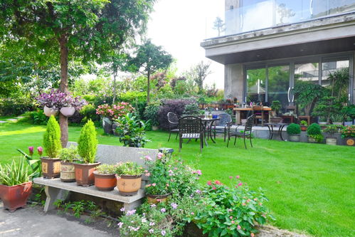 美丽庭院作文如何撰写