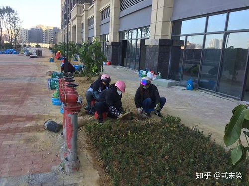 价格合理，服务到位