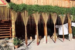 晨光中的窗台小景