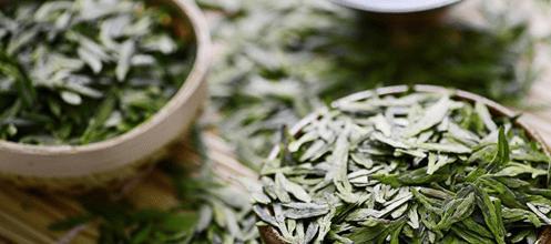 茶叶保质期有多长？看完这篇你就懂了