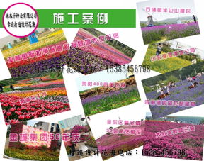 新手播种四步法