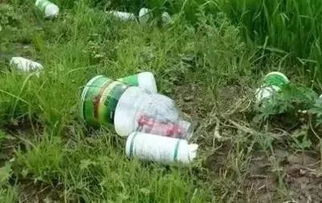 有机氯农药：长期存在的威胁