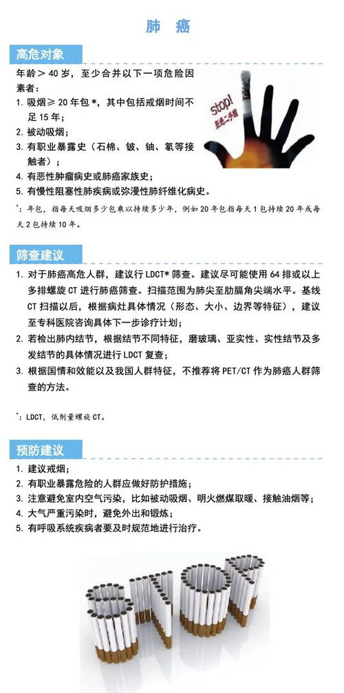 12月种植油茶苔，会亏损吗？