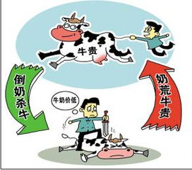 澳大利亚最大牛奶供应商面临奶农抗议
