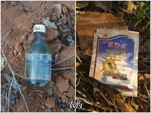 常见的除草剂及其特点