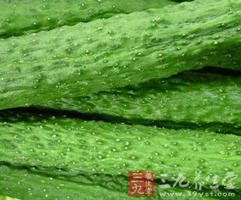 内吸传导特快专列