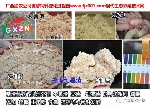 发酵饲料加入菌糟，小白也能搞懂变废为宝的秘诀是什么？