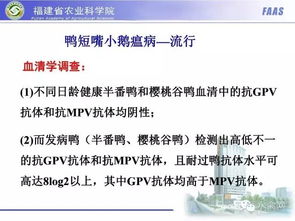 鸭曲霉菌病防治策略探讨：从病原学分析到综合防治措施