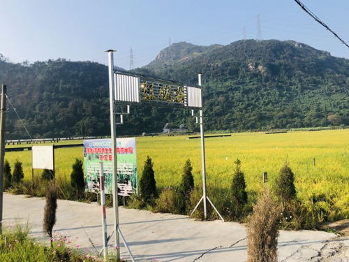 万源农药基地的神秘位置大揭秘！