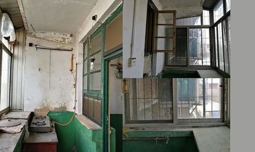 老房子的阳台，种点啥花既美又耐养呢？北方干燥气候也嫩hold住！