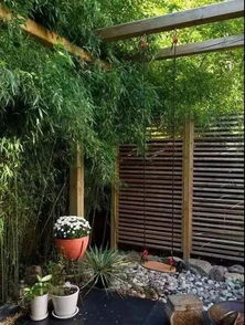 树木环绕的庭院，如何选择耐阴花草？