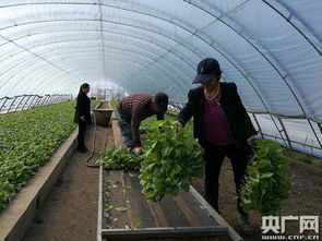 深耕土地与土壤改良