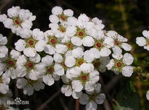 阳光遮遮， 温暖捂捂