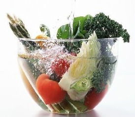 水晶兰如何进行科学养殖和种植，才能确保其健康生长并保持其独特的美观