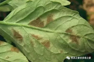 副作用：副作用不同， 需注意