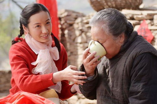 孙少安在《平凡的世界》中是否多分到了猪饲料地？