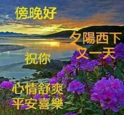 《晚安花语解读》中，哪种花代表最深沉的晚安祝福和心意