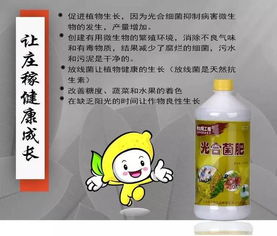 光合细菌如何提高作物产量？