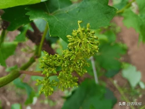 使用方法，你真的懂吗？