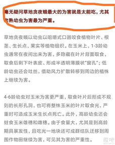 那个年代的管理， 真是让人感慨