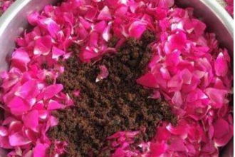 月季花， 千年传承，花中皇后