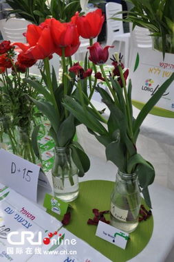 水中加什么鲜花梗耐放？