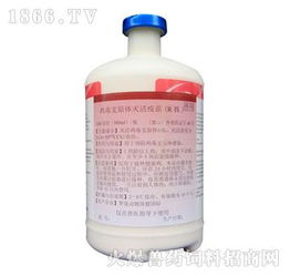 猪支原体疫苗注射方法