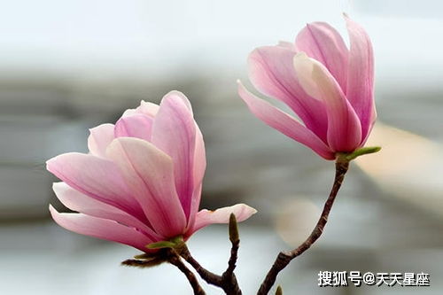 苏州北站的风采