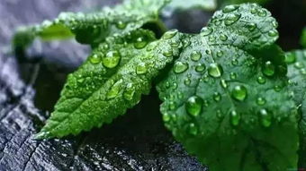 选对地方，避暑又通风