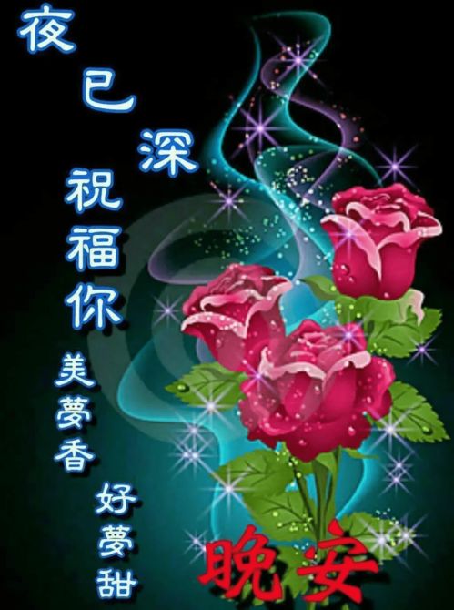 《晚安花语解读》中，哪种花代表最深沉的晚安祝福和心意