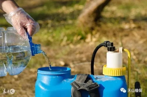 如何减少丙环唑的药害？